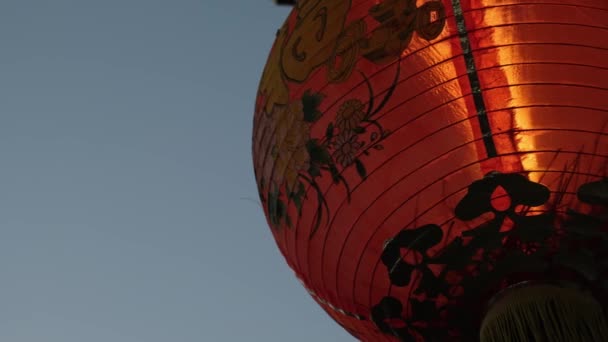 Red Chinese New Year Lantern Blue Sky Background Some Flower — Vídeo de stock