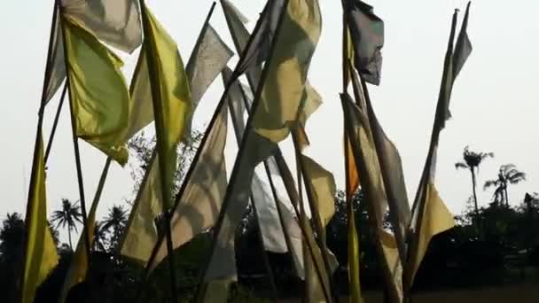 Group Flags Swinging Slow Motion Camera Moving Some Pants Background — Vídeos de Stock