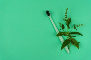 Renkli arka planda yeşil bir nane filizi olan geri dönüşümlü plastik diş fırçası. Sağlık ve tazelik kavramı. Boşluğu kopyala