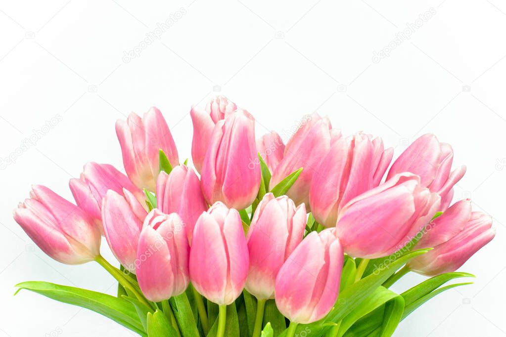 Bouquet of pink tulips on a white background. The tops of flower buds. Side view. Valentine's Day. Easter. Mother's day. Wedding.