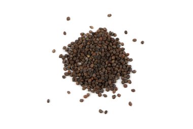 Radish seeds close-up top view. Home gardening and indoor greenery growing concept