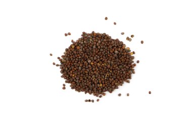 Microgreen broccoli seeds. Vegan micro sprouts of greens. Growing healthy food concept. Top view