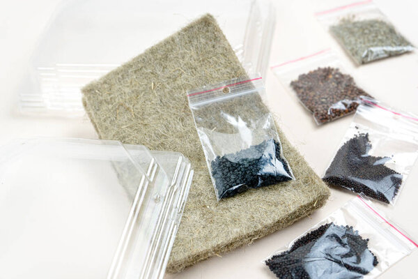Gardening supplies, biodegradable microgreen coconut weeds, seeds in bags and plastic boxes. Top view