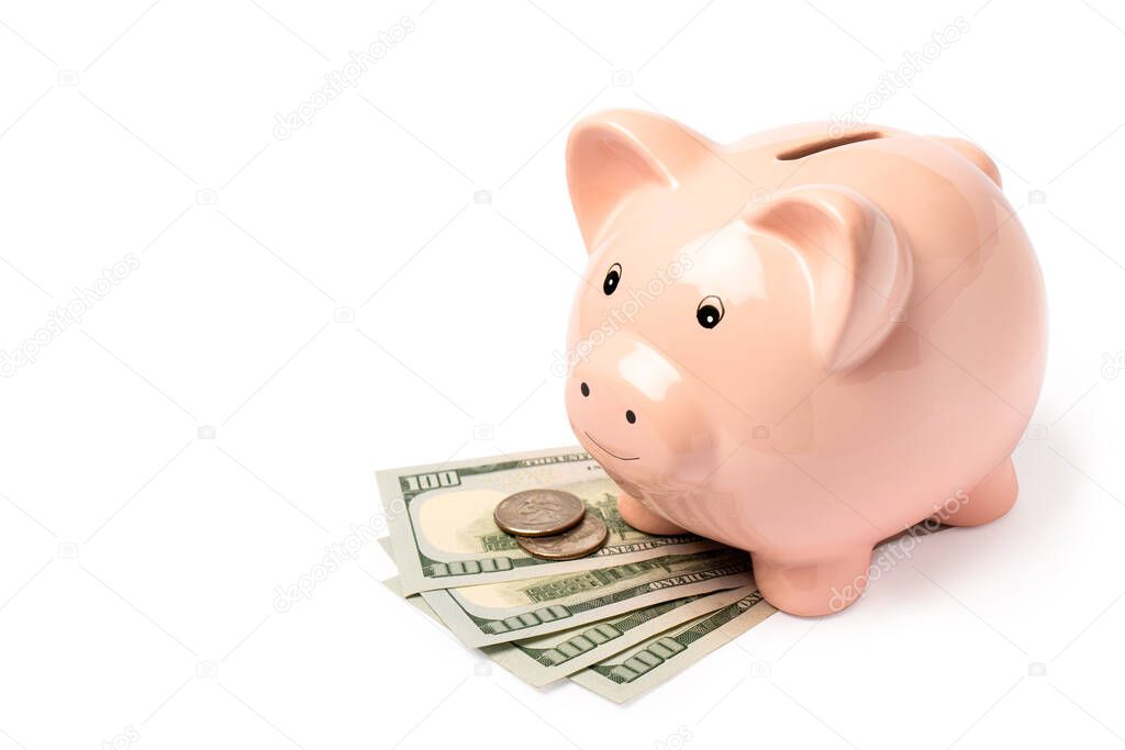 Pig piggy bank with dollar bills and coins cents isolated on white background with copy space. Side view.