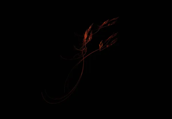 Dessin Orange Vif Sur Fond Noir Fleur — Image vectorielle