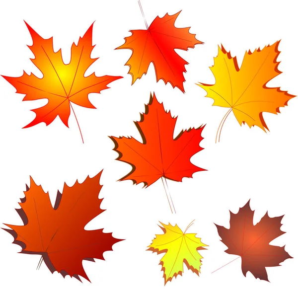 Gri arkaplanda siyah ve beyaz çiçek deseni, grafikler