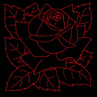 Siyah arkaplanda kırmızı bir gülün ana hatları