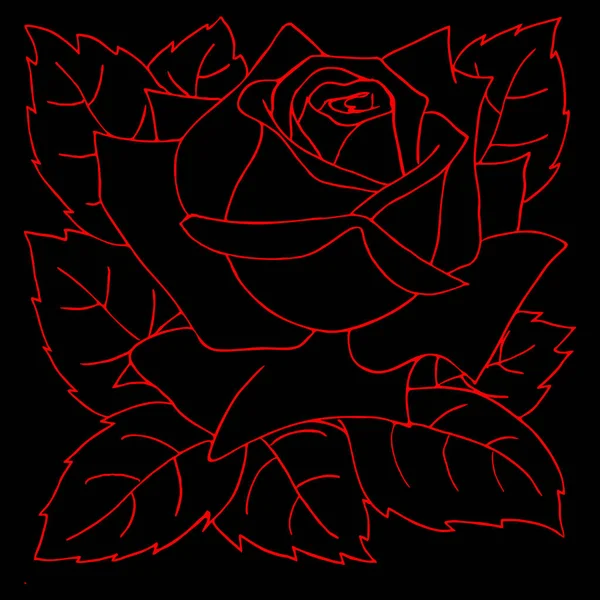 Obrysová Kresba Červené Růže Černém Pozadí — Stockový vektor