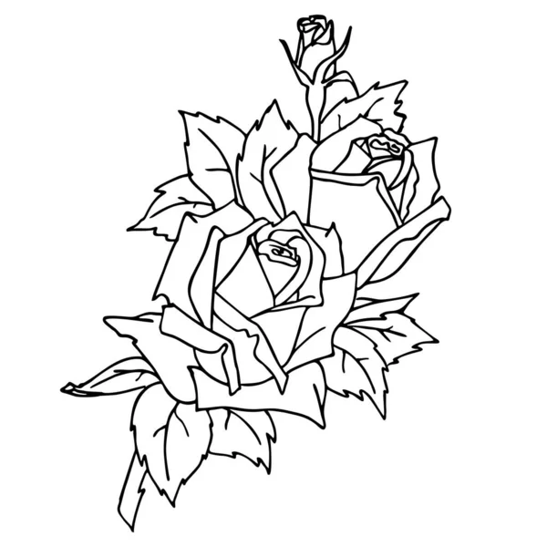 Isolated Black Contour Drawing Rose Branch White Background Graphics Coloring — Wektor stockowy