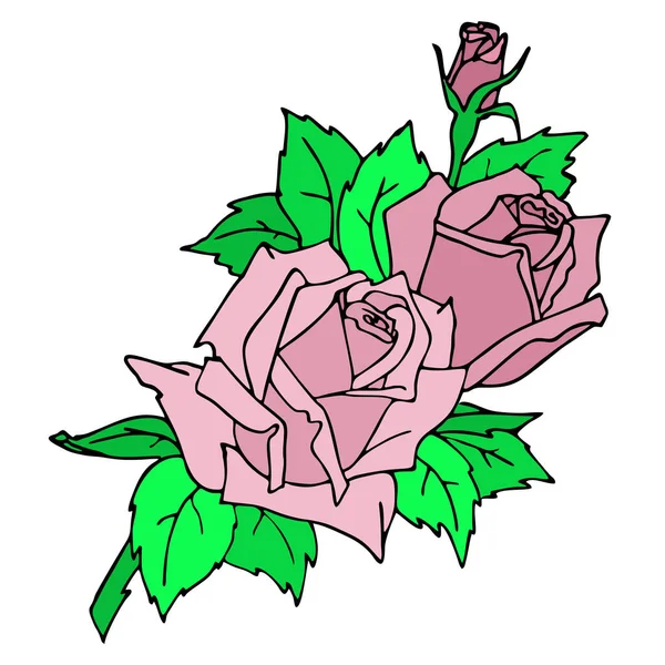 Color Graphic Card Branch Pink Rose White Background Contour Drawing — 스톡 벡터