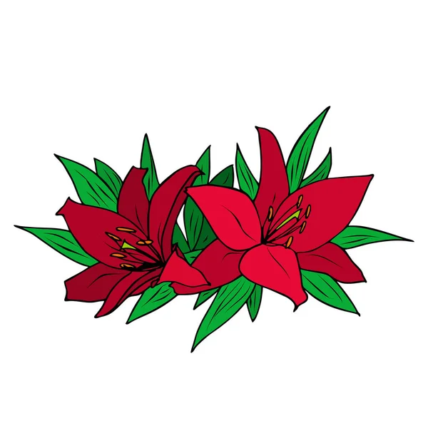 Bukett Ljusa Röda Lilja Blommor Vit Bakgrund Färg Grafisk Ritning — Stock vektor