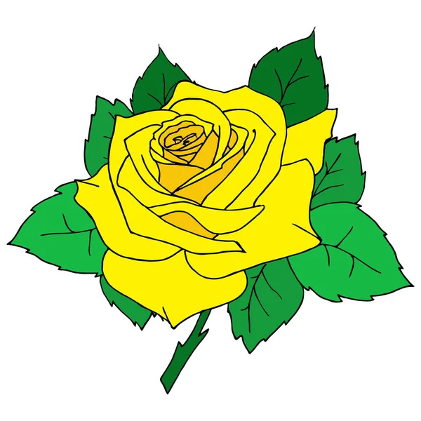 Χρωματικό Γραφικό Σχέδιο Ενός Κίτρινου Τριαντάφυλλου Close Λευκό Φόντο Σχέδιο — Διανυσματικό Αρχείο