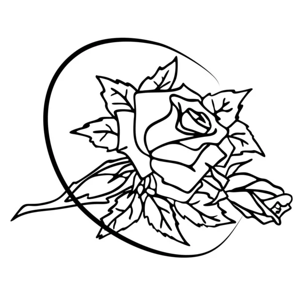 Czarno Biały Rysunek Graficzny Róży Kwiat Konturu Antystresowa Kolorowanka Tatuaż — Wektor stockowy