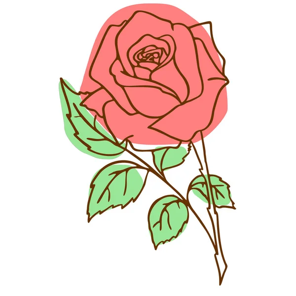 红色玫瑰在白色背景上的等高线图像 彩色图形 — 图库矢量图片
