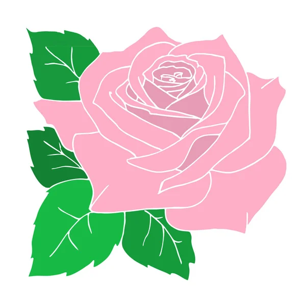 Pink Rose Close Drawing Design Color Graphics Illustration — Vector de stock