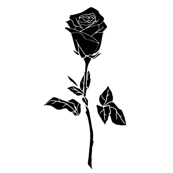 Black Silhouette Rose Close White Background Silhouette Flower Graphic Drawing — Stockvektor