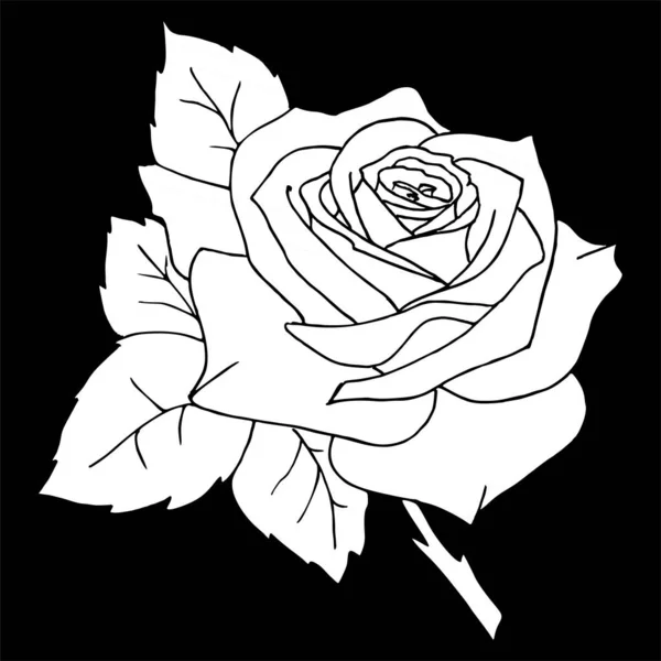 Black Silhouette Rose Close White Background Silhouette Flower Graphic Drawing — Image vectorielle