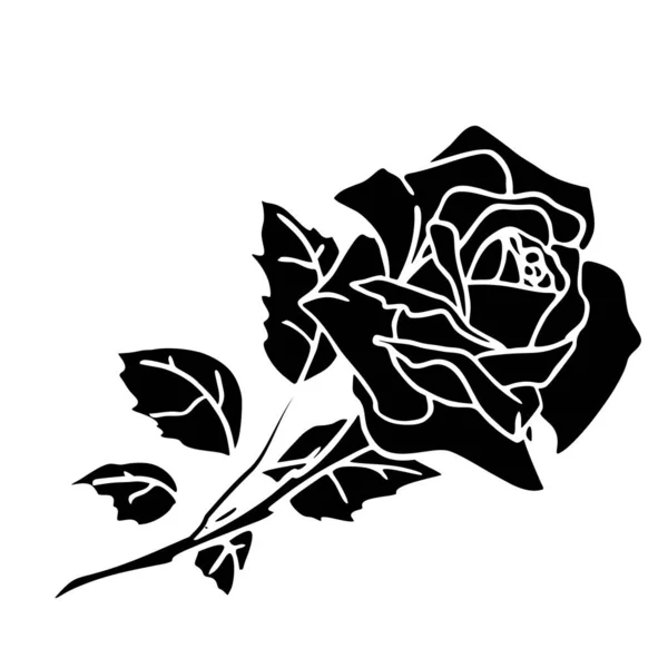 Black Silhouette Rose Close White Background Silhouette Flower Graphic Drawing — ストックベクタ