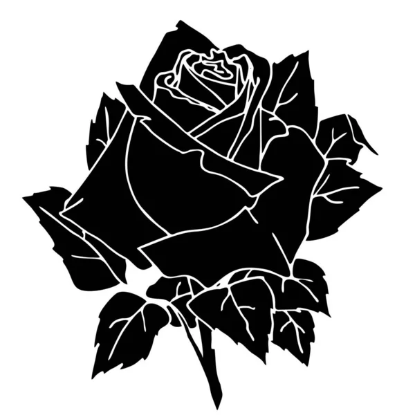 Black Silhouette Rose Close White Background Silhouette Flower Graphic Drawing — Wektor stockowy
