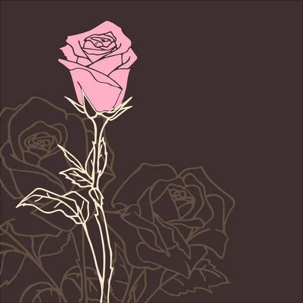 Men Greeting Card Pink Rose Dark Background Border Design — Stockfoto