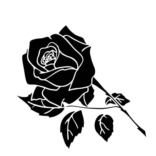 Černá Silueta Růže Zblízka Bílém Pozadí Silueta Květiny Grafická Kresba — Stock fotografie
