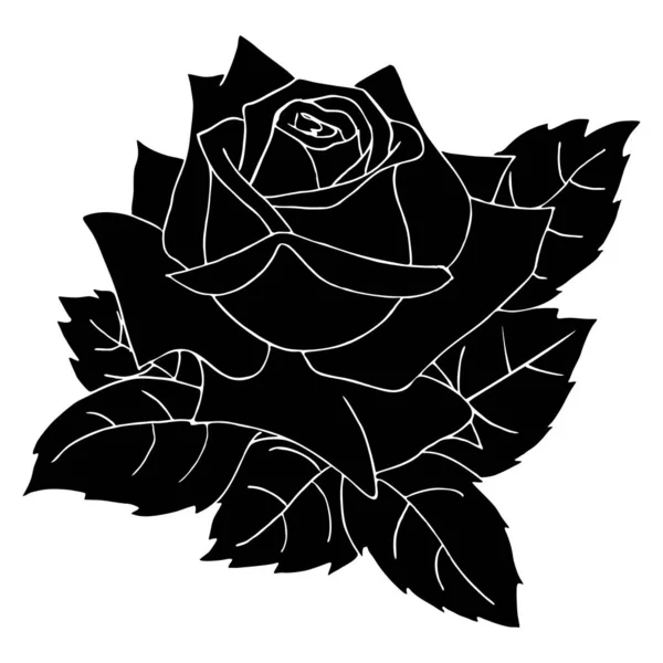 Black Silhouette Rose Close White Background Silhouette Flower Graphic Drawing — Stock vektor