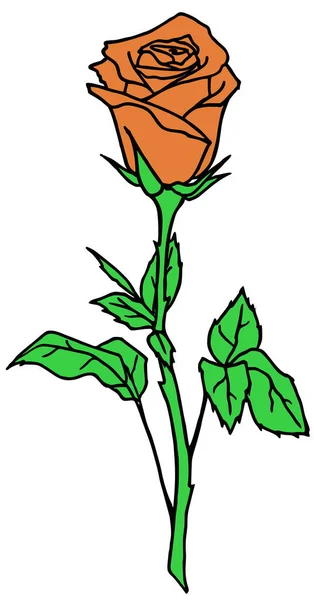 Dessin Branche Rose Avec Fleur Orange Feuilles Élément Isolé Design — Image vectorielle