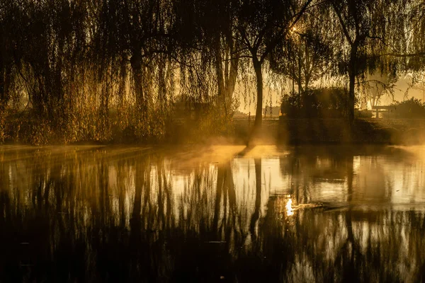 Mistige Ochtend Het Park — Stockfoto