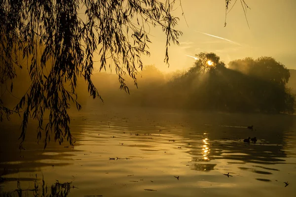 河上的日出 — 图库照片