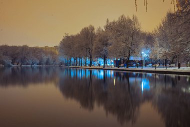 Kış gecesi parkta bir ağaçta don, muhteşem kış kenti parkı, karla kaplı ağaçlar, ıssız bir gece parkında yağan kar, gölde yansıyan yansıma.