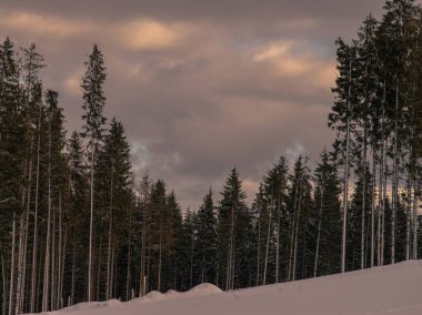 Kış, yüksek dağlarda kar beyazı zirveler. Yeri Carpathian, Vatra Dornei, Bucovina, Suceava, Romanya, Avrupa. Günbatımı. Kış ormanı Misafir evi