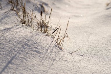 Kış, yüksek dağlarda kar beyazı zirveler. Yeri Carpathian, Vatra Dornei, Bucovina, Suceava, Romanya, Avrupa. Günbatımı. Kış ormanı Misafir evi