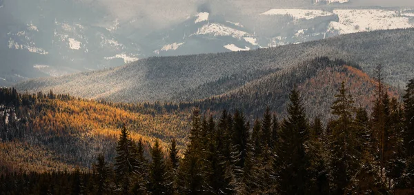 Winter High Mountains Snow White Peaks Location Place Carpathian Vatra — Stock Photo, Image