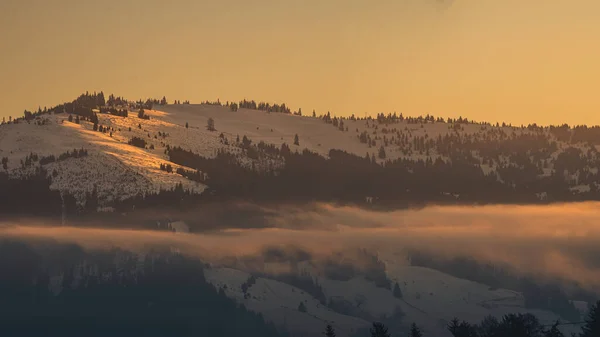 Зима Высокие Горы Белоснежными Вершинами Место Нахождения Carpathian Vatra Dornei — стоковое фото
