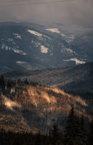 雪の白いピークを持つ高い山 場所カルパティア ヴァトラDornei ブコビナ Suceava ルーマニア ヨーロッパ 冬の森 ゲストハウス — ストック写真