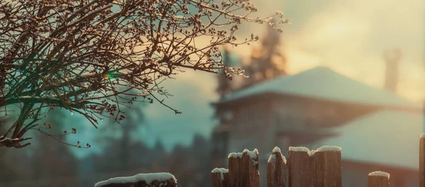 高山雪白的山峰 罗马尼亚苏克雷瓦 布科维纳 Vatra Dornei Carpathian 冬天的森林 — 图库照片