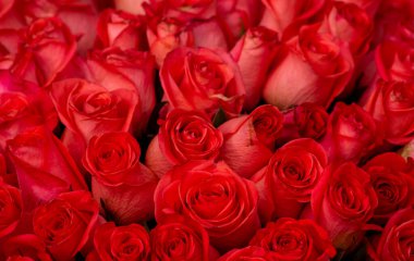 Pembe romantik güller. Yumuşak odaklı çiçek arkaplanı. Renkli bir arka plan. Penceredeki buket, desen, siyah doğal arkaplan