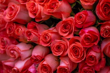 Pembe romantik güller. Yumuşak odaklı çiçek arkaplanı. Renkli bir arka plan. Penceredeki buket, desen, siyah doğal arkaplan