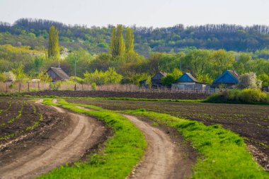 Country Peyzaj Bahar Virajı Yolu. Tarla, köy, tarla ve ağaçlar arasındaki kavis, Purcari, Moldova