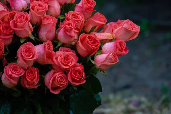 Pink romantic roses. Floral background with soft focus. Colorful rose wall background. bouquet on window, pattern, on black natural background