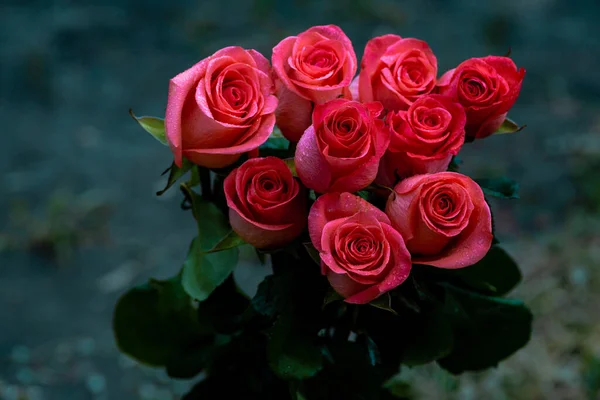 Pink romantic roses. Floral background with soft focus. Colorful rose wall background. bouquet on window, pattern, on black natural background