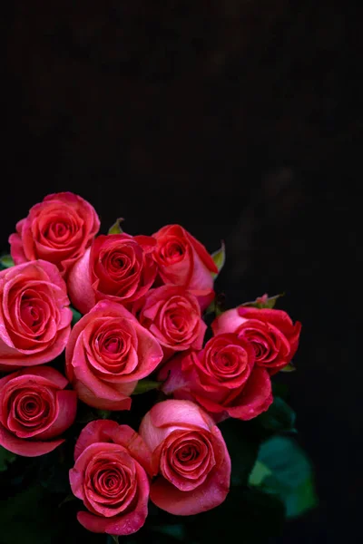 Pink romantic roses. Floral background with soft focus. Colorful rose wall background. bouquet on window, pattern, on black natural background