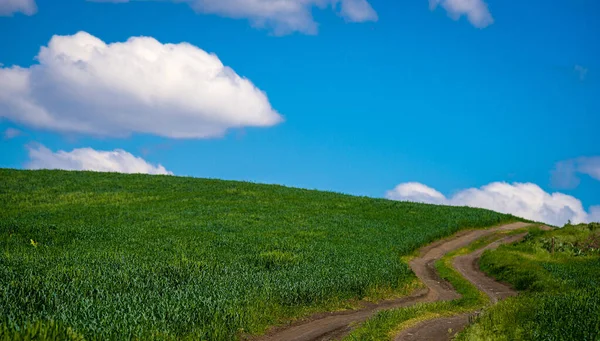 Art Paysage Rural Champ Herbe Vallée Route Campagne Entre Prairies — Photo