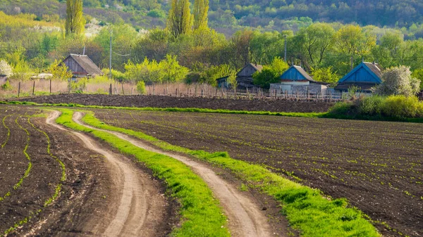 Paysage Campagne Printemps Route Sinueuse Champ Village Route Courbe Entre — Photo