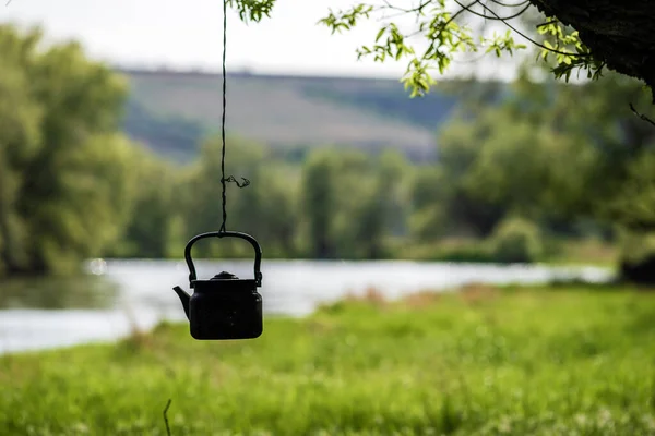黑茶壶挂在德涅斯特河岸边的一棵树上 — 图库照片
