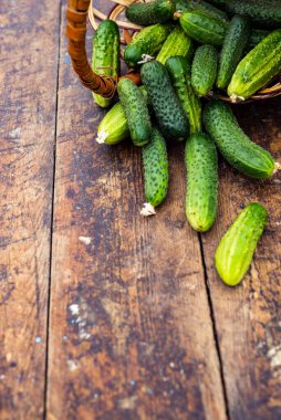 Kırsal ahşap arka planda taze salatalık. Salatalıklar düşük kalorilidir ama birçok önemli vitamin ve mineralde kilo kaybeder. Yaprak ve çiçek