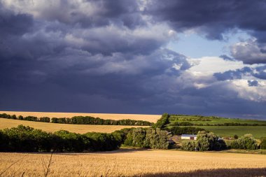 Güzel doğa gün batımı manzarası. Ülkedeki tarlalar arasındaki kirli yol. Vadi kırsal alanı, Tipik Moldova yeşil tarım ülkesi Moldova Cumhuriyeti, buğday, mısır tarlası