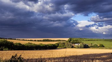 Güzel doğa gün batımı manzarası. Ülkedeki tarlalar arasındaki kirli yol. Vadi kırsal alanı, Tipik Moldova yeşil tarım ülkesi Moldova Cumhuriyeti, buğday, mısır tarlası