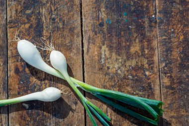 Tahta tahtada taze soğan, soğan tohumu ve tohum başı, beyaz ve sarı, konsept, üst görünüm