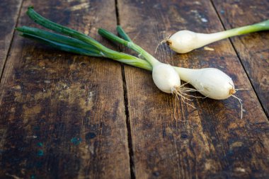 Tahta tahtada taze soğan, soğan tohumu ve tohum başı, beyaz ve sarı, konsept, üst görünüm